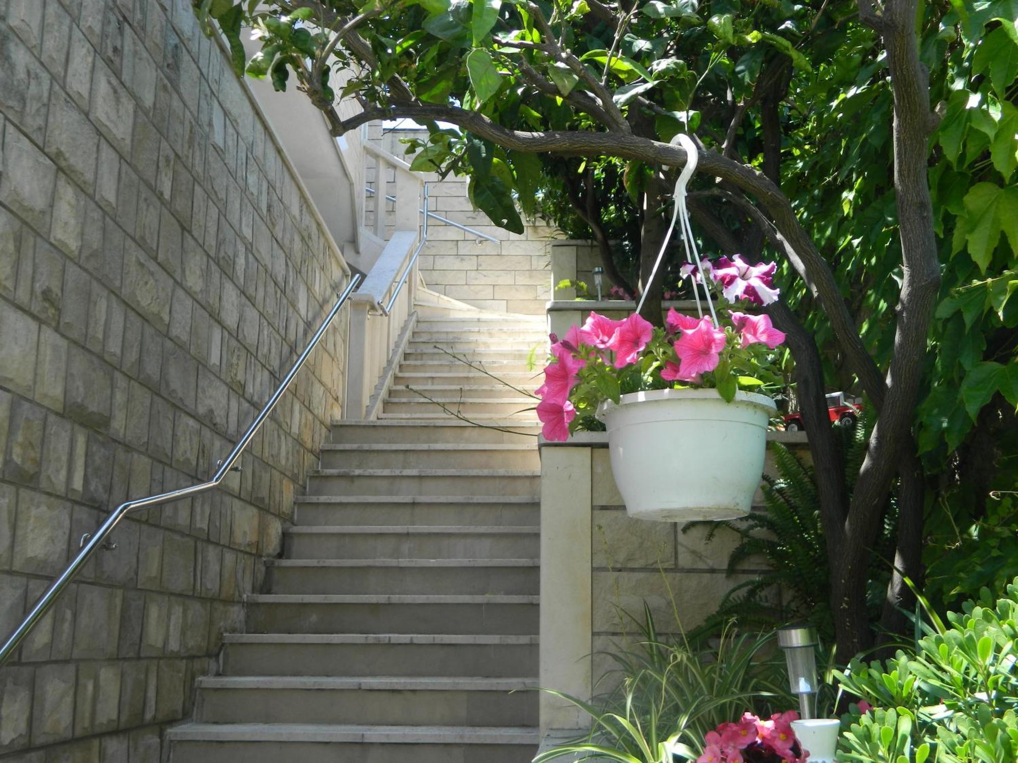 Apartments Brunor Dubrovnik Chambre photo